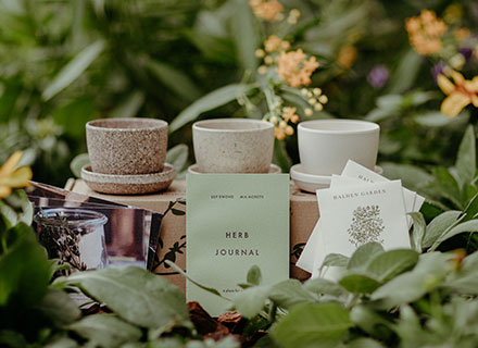 Herb Garden Kit Curated by Lily Kwong for JW Marriott image