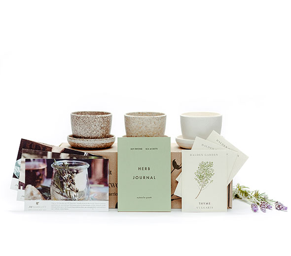 Studio Lily Kwong-Curated for JW Marriott Herb Garden Kit 2