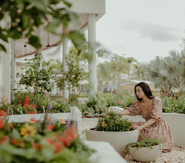Studio Lily Kwong-Curated for JW Marriott Herb Garden Kit 3